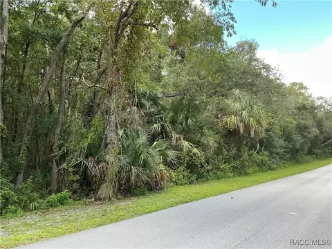 58 N Bauer Rd, Lecanto, FL 34461 photo 3