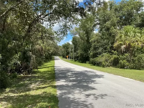 58 N Bauer Rd, Lecanto, FL 34461 photo 4