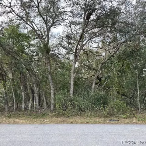56 N Fresno Ave, Hernando, FL 34442