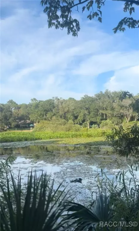 5988 N Brookgreen Dr, Crystal River, FL 34428 photo 1