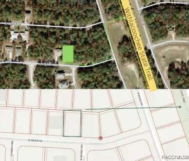 2255 W Ingrid Ln, Citrus Springs, FL 34434