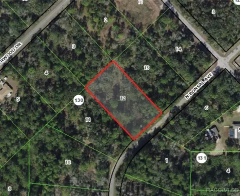 9822 N Bonsai Ave, Crystal River, FL 34428