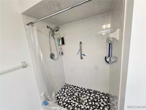 Bath - 1219 E Silver Thorn Loop, Hernando, FL 34442 photo 1 of 5