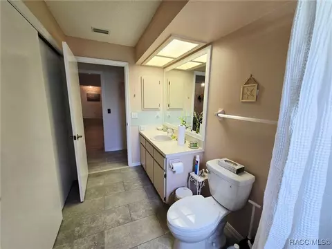 Bath - 1219 E Silver Thorn Loop, Hernando, FL 34442 photo 5 of 5