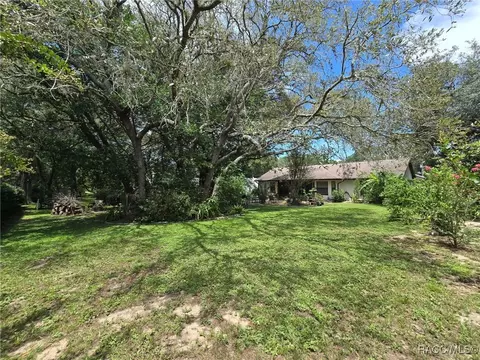 Exterior - 1219 E Silver Thorn Loop, Hernando, FL 34442 photo 11 of 18