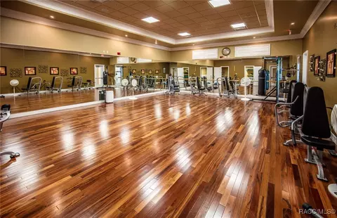 Other - 1679 W Spring Meadow Loop, Lecanto, FL 34461 photo 9 of 15