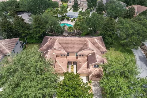 View/Area - 1679 W Spring Meadow Loop, Lecanto, FL 34461 photo 5 of 7