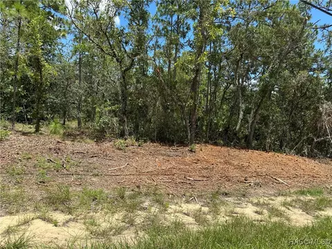 955 W Hampshire Blvd, Citrus Springs, FL 34434