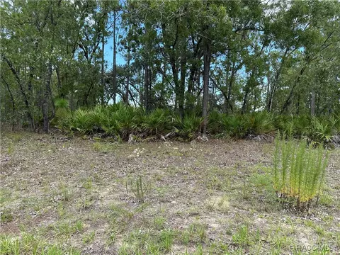 1195 W Hampshire Blvd, Citrus Springs, FL 34434