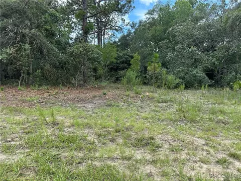 1282 W Hampshire Blvd, Citrus Springs, FL 34434