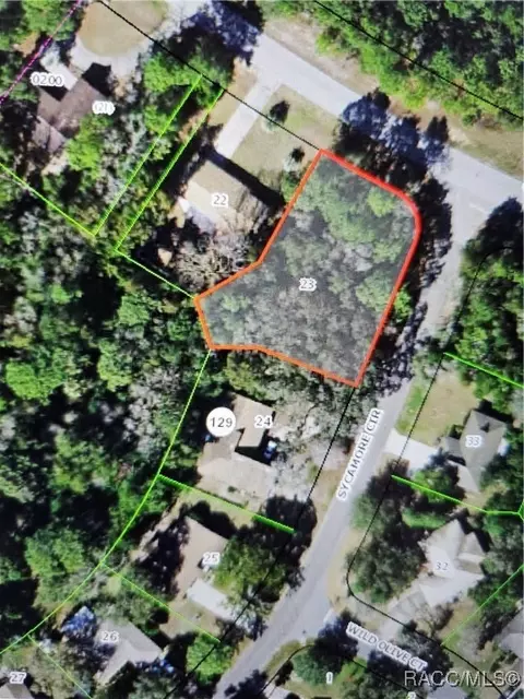 2 Sycamore Cir, Homosassa, FL 34446