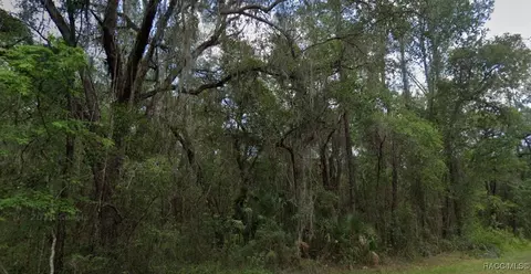 893 E Byrd Loop, Dunnellon, FL 34434