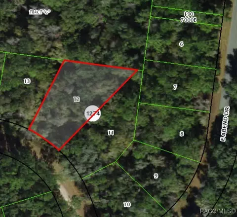 893 E Byrd Loop, Dunnellon, FL 34434 photo 2