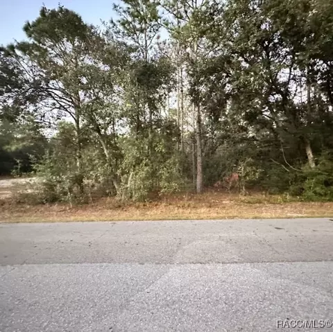 833 W Olympia St, Hernando, FL 34442 photo 2