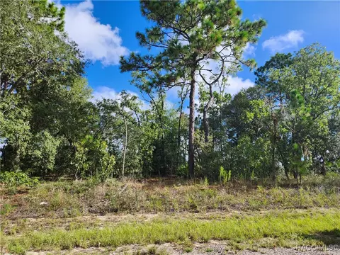 6731 N Darlington Dr, Dunnellon, FL 34434