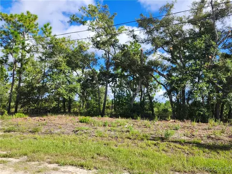 6715 N Darlington Dr, Dunnellon, FL 34434