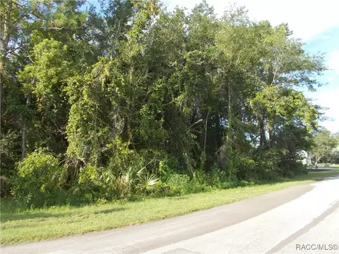 1 Sycamore Court W Ct, Homosassa, FL 34465