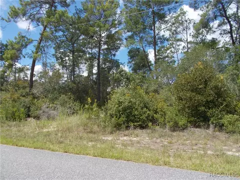 8568 N Feather Ave, Citrus Springs, FL 34434