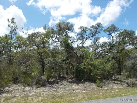 2792 W Gaucho Dr, Citrus Springs, FL 34434