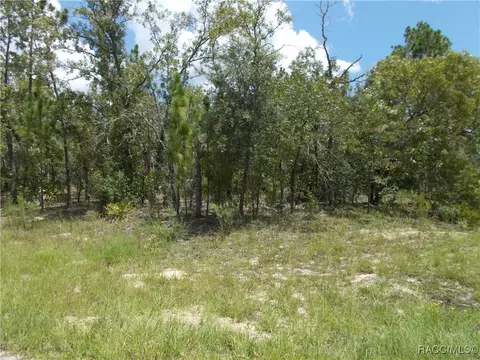 6751 N Waterfall Ter, Citrus Springs, FL 34434