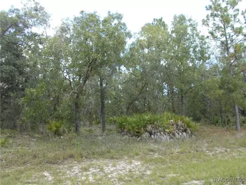 6667 N Underwood Dr, Citrus Springs, FL 34434