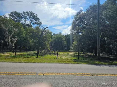 12089 Oakview Ave S, Floral City, FL 34436
