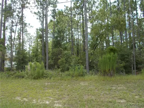 1168 W Citrus Springs Blvd, Citrus Springs, FL 34434