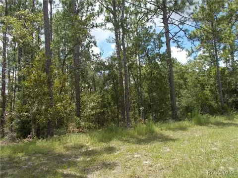 1152 W Citrus Springs Blvd, Citrus Springs, FL 34434