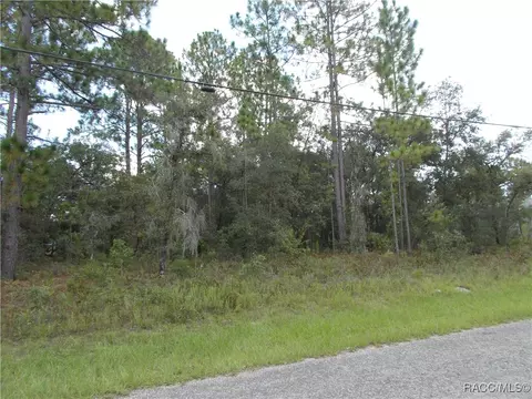 7233 N Radcliff Ave, Citrus Springs, FL 34434