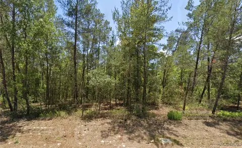 6230 W Oak Park Blvd, Homosassa, FL 34446