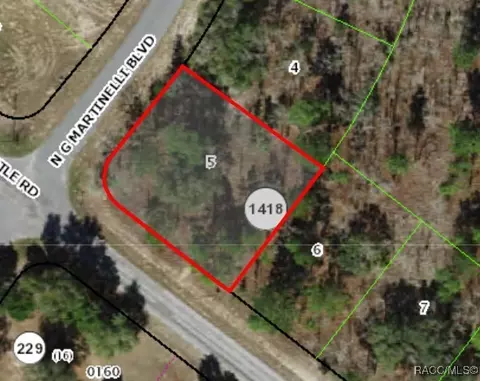 10429 N G Martinelli Blvd, Citrus Springs, FL 34433