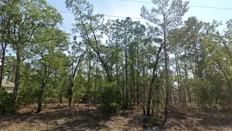 9539 N Applebud Way, Citrus Springs, FL 34434