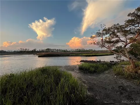 20110 SE 112th Ave, Inglis, FL 34449 photo 42