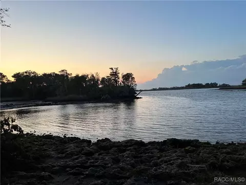 20110 SE 112th Ave, Inglis, FL 34449 photo 43