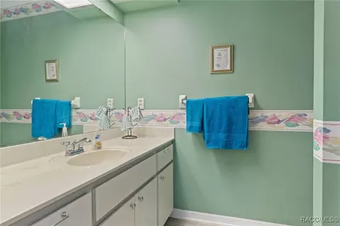 Bath - 2330 N St Johns Pt, Hernando, FL 34442 photo 2 of 4