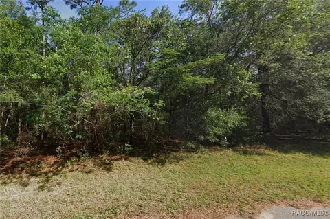715 W Pitler Pl, Citrus Springs, FL 34434