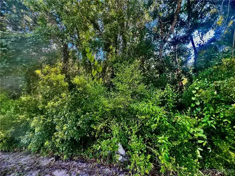 8356 W Bradshaw St, Homosassa, FL 34448
