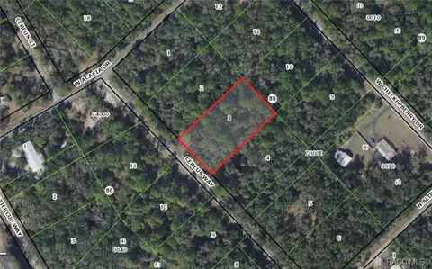 9195 N Cereus Way, Crystal River, FL 34428