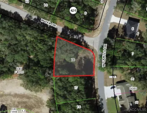 2939 W Camilo Dr, Citrus Springs, FL 34434
