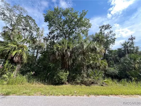11091 W Townsend Ln, Homosassa, FL 34448