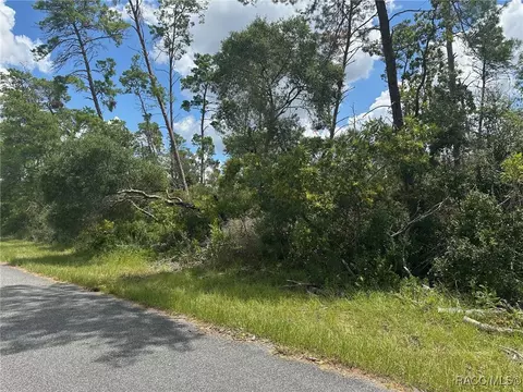 8191 N Feather Ave, Dunnellon, FL 34433