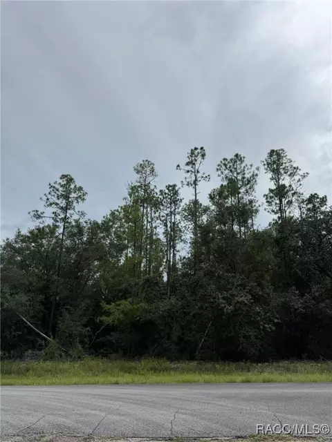 608 E Kingsdale St, Citrus Springs, FL 34434