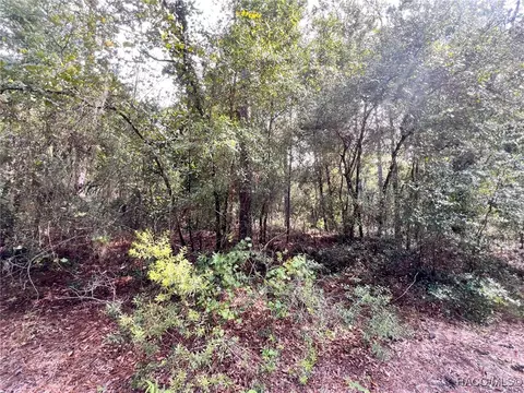 9830 W Watermelon Ln, Crystal River, FL 34428