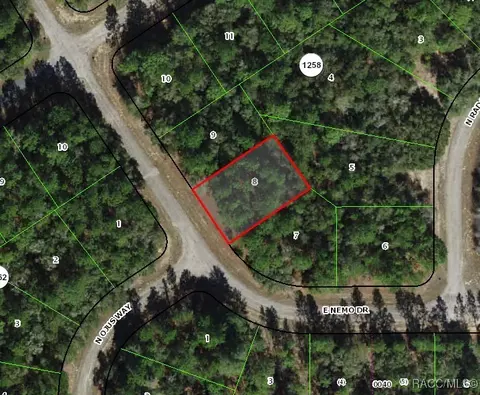 535 E Nemo Dr, Citrus Springs, FL 34434