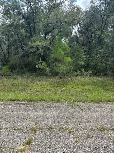 875 Elston Pl, Citrus Springs, FL 34434