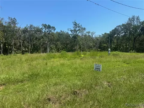 11045 W London Ln, Homosassa, FL 34448