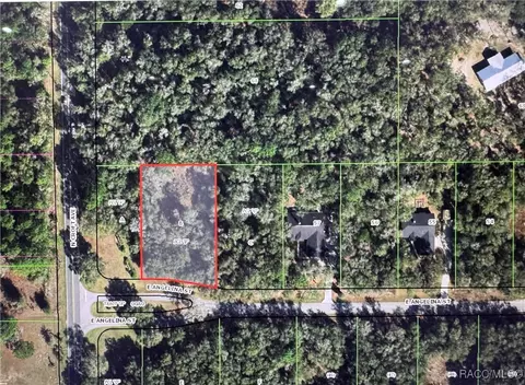 2943 E Angelina St, Inverness, FL 34453