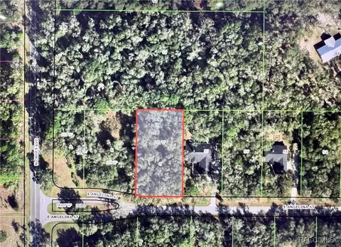 2961 E Angelina St, Inverness, FL 34453