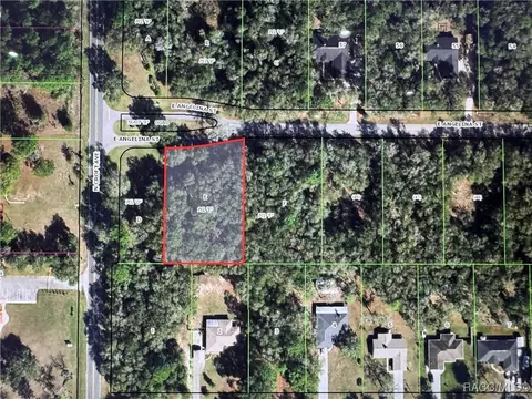 2944 E Angelina St, Inverness, FL 34453