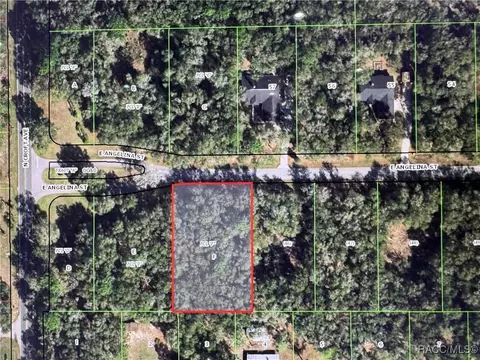 2962 E Angelina St, Inverness, FL 34453